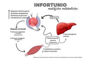 Alimentazione e Fisioterapia